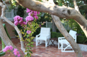 El jardín de la abuela, Granada